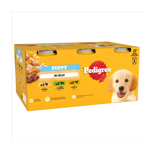 Pedigree Junior Puppy Wet Dog Food Mixed Selection in Jelly 6 x 400g, front of pack